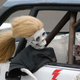 Illustration for article titled 24 Hours Of LeMons Arse Freeze-A-Palooza Über Gallery: Swedish Berserkers